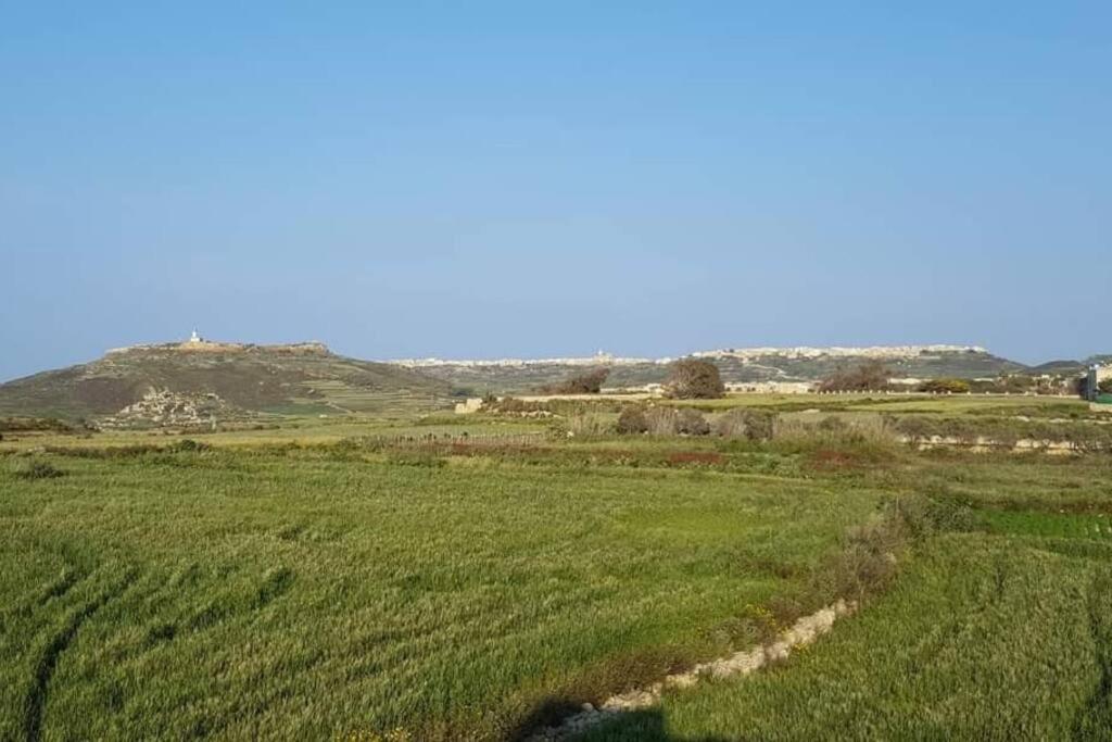 Farmhouse Villa With Large Pool And Garden In Gozo Għarb Exterior foto